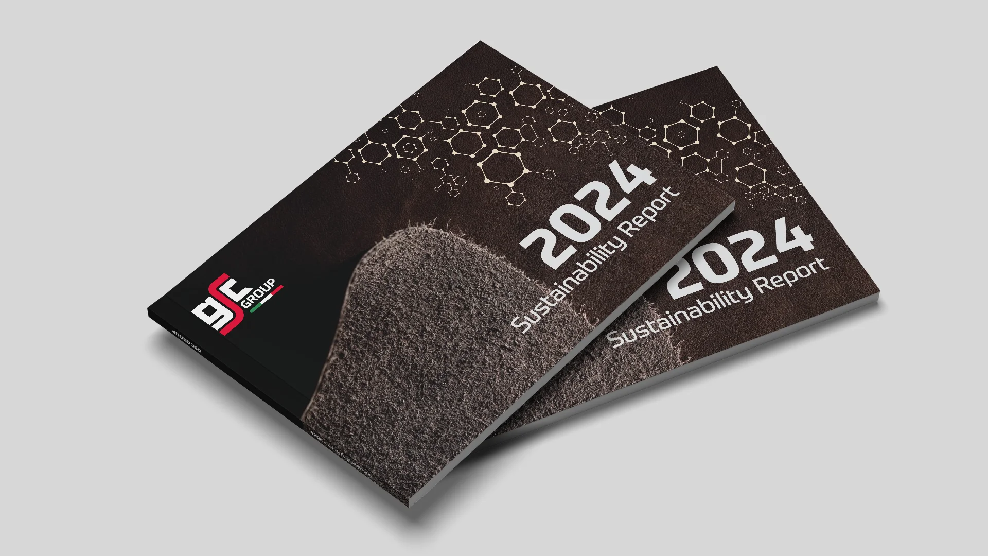Bilancio di Sostenibilità 2024
