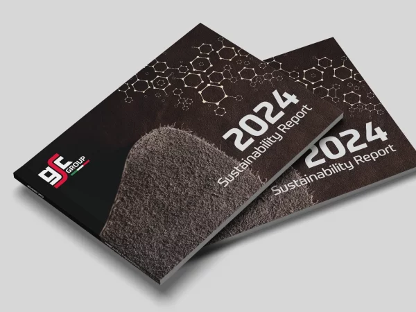 Bilancio di Sostenibilità 2024